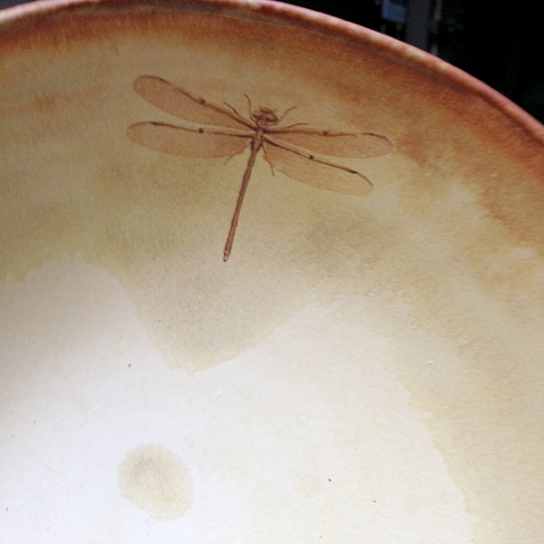 Coco's dragonfly on a toasty yellow salt