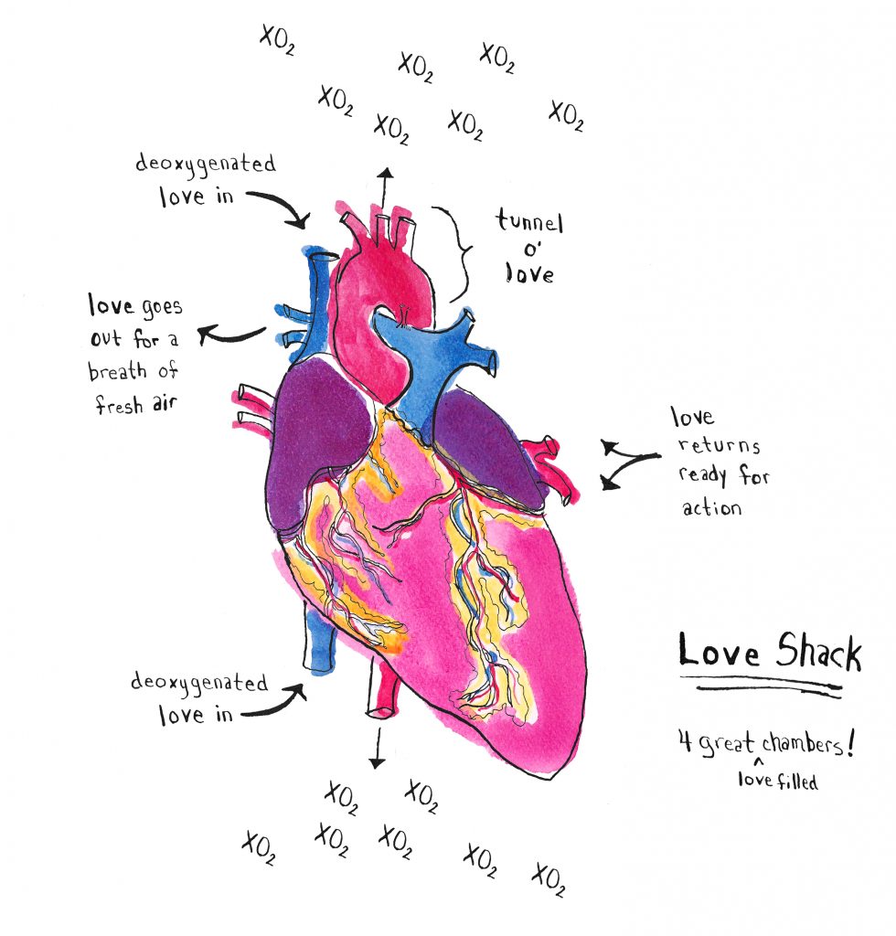 Anatomical Heart